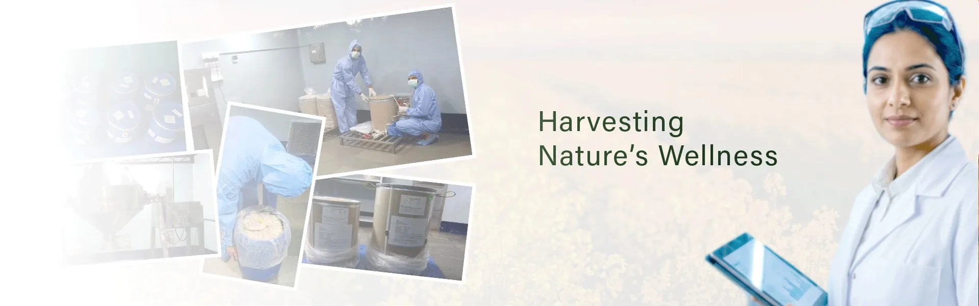 Harvesting Nature's Wellness